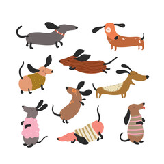 Set of Dachshund dogs, cute and funny characters, children's print. Vector illustration.