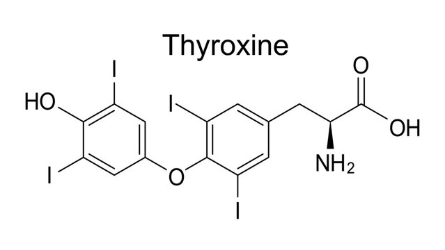 Thyroxine chemical formula, molecule of thyroxine hormone