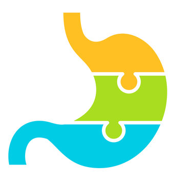 recommend clip art: Stomach puzzle chart, digestion infographics template