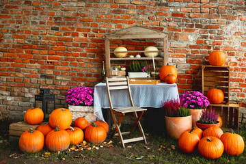 Beautiful fall composition. Autumn mood for Thanksgiving day