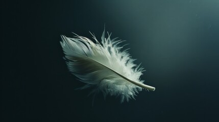 Obraz premium A soft, white feather drifts gently against a dark, minimalist background, creating a serene and delicate atmosphere.