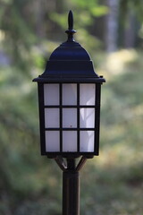 A lamp post with a bird perched on top, a common urban scene