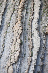 A bird sits on a rocky outcropping, looking out at the surrounding landscape
