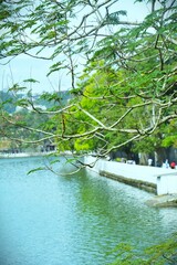 Kandy Lake near Temple of the tooth relic in Sri Lanka