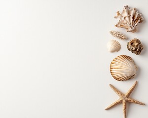 Seashells and Starfish Close-Up Coastal Elegance on Textured White Surface, Tranquil Beach Ambiance