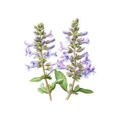 Naklejka premium Blooming Purple Flowers with Green Leaves