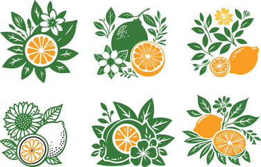 Orange and lemon vector,  orange and lemon vector illustration. 