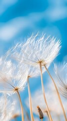 Dandelion Flower Under Blue Sky, Minimalist, Abstract Image, Texture, Pattern Background, Wallpaper, Cover and Screen of Smartphone, PC, Laptop, 9:16 and 16:9 Format