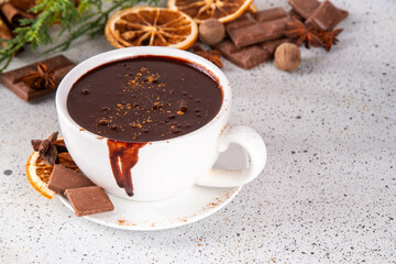 Traditional christmas hot chocolate drink cup with dried orange, cinnamon, anise, spices and Christmas tree sprigs copy space