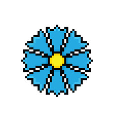 Fototapeta premium pixel cornflower icon. Vector pixel art spring flower 8 bit logo for game