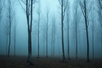 Dark moody gloomy grey autumn photos, bad rainy days weather, Generative AI, melancholy