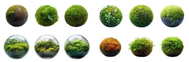 Lush green moss spheres in various textures and colors, showcasing natures beauty and diversity. These vibrant orbs highlight intricate details of moss and plant life, perfect for nature themed