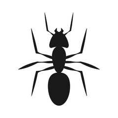 Ant silhouette. Insect icon symbol. Vector illustration image.
