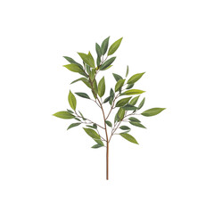 Green Branch with Lush Leaves