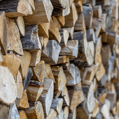Background of stacked chopped wood logs. Pile of wood logs ready for winter. Wooden stumps, firewood stacked in heap