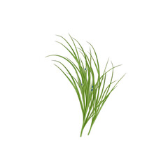 Fototapeta premium Green Grass with Blue Berries Illustration