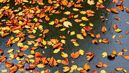 With the arrival of autumn, the leaves that have fallen to the ground begin to disperse. It is raining. pattern.
