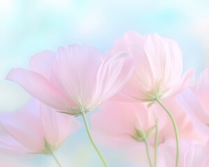 Obraz premium A bouquet of pink flowers with a blue background