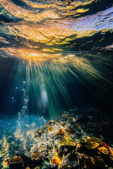 Obraz premium Sunbeams Through the Reef: A vibrant underwater scene where sunlight pierces the surface of the ocean, illuminating a coral reef below. The water is crystal clear.