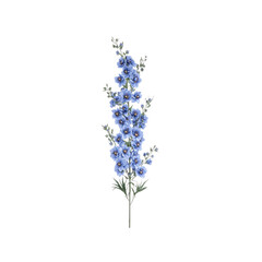 Obraz premium Blue Delphinium Flower Stem Isolated on White Background
