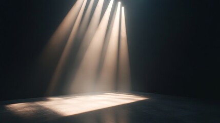 Spotlight on a minimalist stage with no props, just a simple beam of light creating an intimate atmosphere