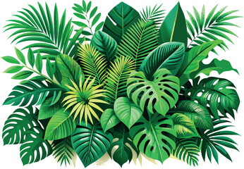 Tropical jungle plants showing lush green foliage