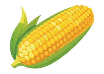 Ripe corn cob with green leaves is lying on white background-