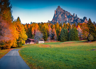 Exciting autumn view of Canali valley, Piereni location, Province of Trento, Italy, Europe....