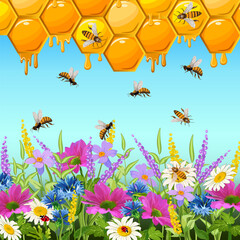 Honeycombs and bees on flowers.Vector illustration with bees and honeycombs over wild flowers.