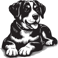 Black and white dog vector illustration