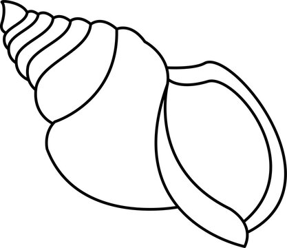 recommend clip art: Triton shell icon outline illustration vector