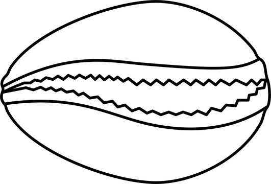 Cowrie shell icon outline illustration vector