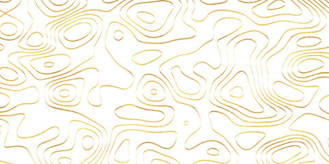 Abstract geographic grid map topographic line contour  background vector. Cartography Background, White wave paper curved reliefs abstract background.