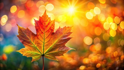 Fototapeta premium Vibrant autumn leaf illuminated by sunlight with stunning bokeh background