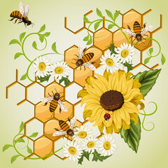 Honeycomb with bees and flowers.Honeycomb, bees and sunflowers in color vector illustration.