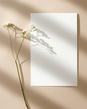 Minimalist Blank Template with Natural Elements