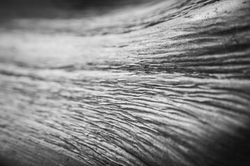 wood bark texture grunge old nature 