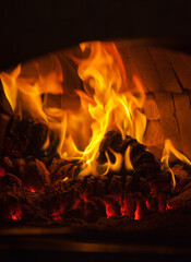 FOGO EM FORNO DE PIZZA A LENHA_MKS__MG_6860