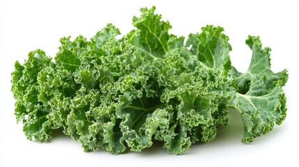 Fototapeta premium Fresh Kale Leaves with Rich Green Color and Curly Texture on White Background