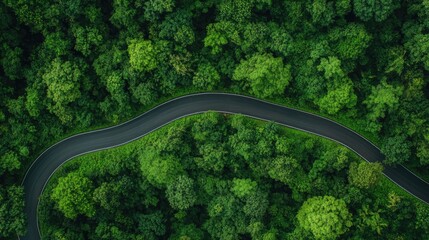 Aerial perspective of an asphalt road winding through a lush green forest