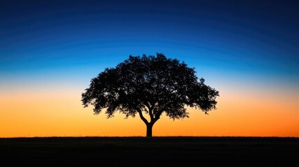 Fototapeta premium Silhouette of a solitary tree set against a gradient sky featuring hues of orange and blue during twilight