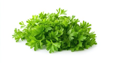Fototapeta premium Parsley herb isolated on a white background