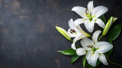 A Profound Tribute: The Elegance of White Lilies in Funeral Arrangements