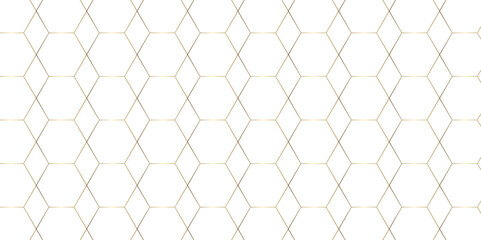 Fototapeta premium Abstract pattern with hexagonal white and gray technology line paper background. Hexagonal 3d vector grid tile and mosaic structure simple style hexagonal graphic concept. Futuristic surface design. 