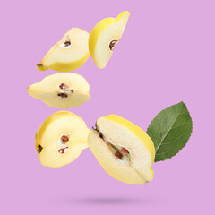Fresh quinces and green leaves falling on lilac background