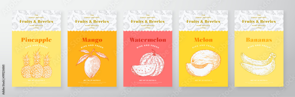 Poster fruits and berries pattern label templates set. vector packaging design layout collection modern typ