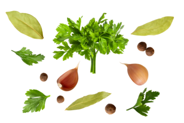 Set of spices. Parsley, garlic, pepper, black pepper, bay leaf, parsley leaves on blank background