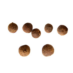 Allspice black peppercorns on empty background