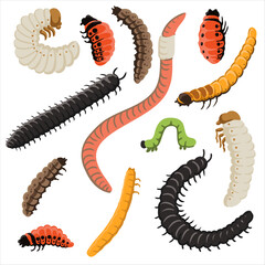 vector drawing larves and worms isolated at white background, garden pests, hand drawn illustration © cat_arch_angel