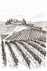Beautiful landscape of grape plantation farm land winery. Line art drawing